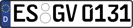 ES-GV0131