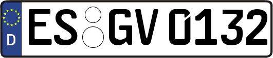 ES-GV0132