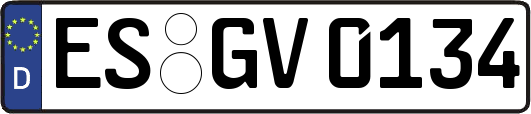 ES-GV0134