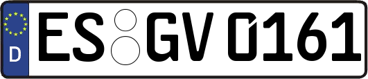 ES-GV0161