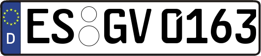 ES-GV0163
