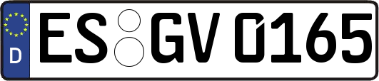 ES-GV0165