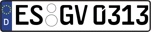 ES-GV0313