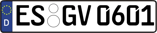 ES-GV0601