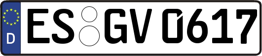 ES-GV0617