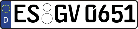 ES-GV0651