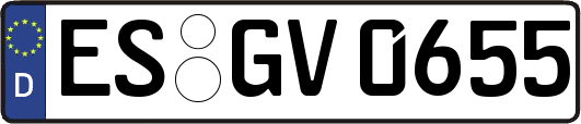 ES-GV0655