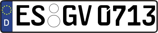 ES-GV0713
