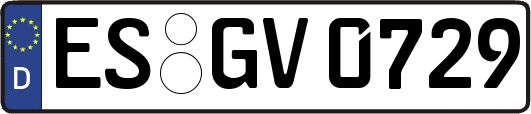 ES-GV0729