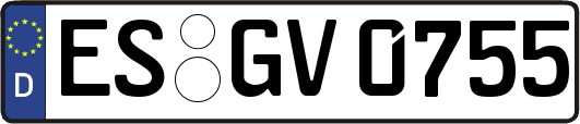 ES-GV0755