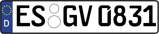ES-GV0831