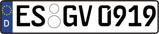 ES-GV0919