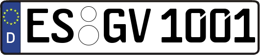ES-GV1001