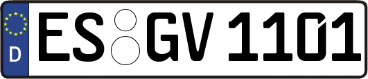 ES-GV1101