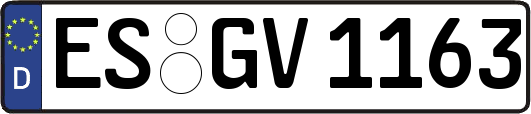 ES-GV1163