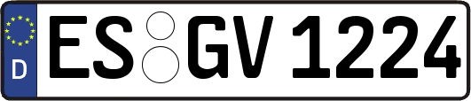 ES-GV1224