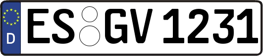 ES-GV1231