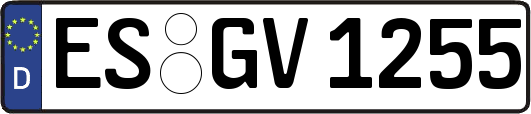 ES-GV1255