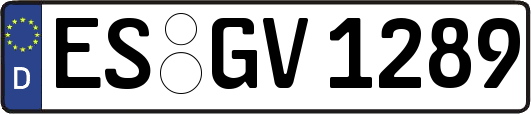 ES-GV1289