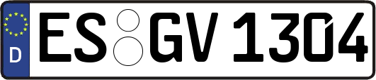 ES-GV1304
