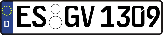 ES-GV1309