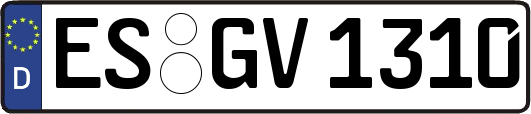 ES-GV1310