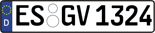 ES-GV1324