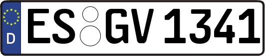 ES-GV1341