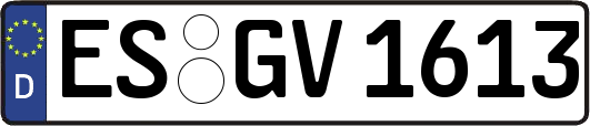 ES-GV1613