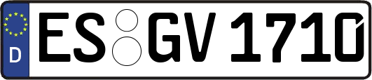 ES-GV1710