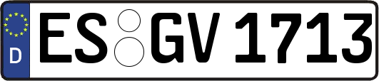ES-GV1713
