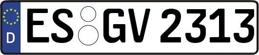 ES-GV2313