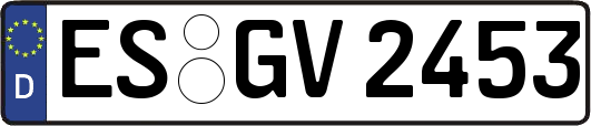 ES-GV2453