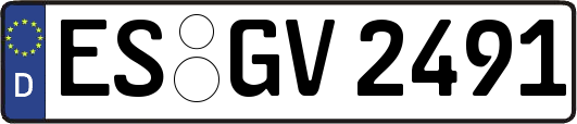 ES-GV2491