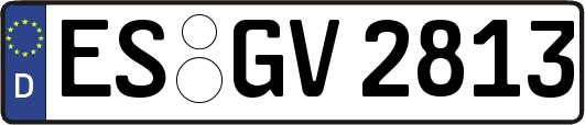 ES-GV2813