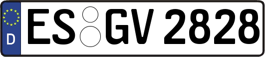 ES-GV2828