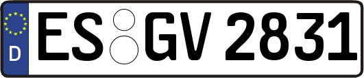 ES-GV2831