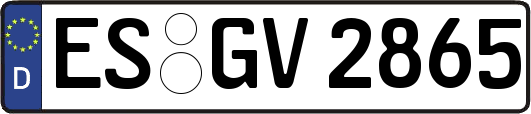 ES-GV2865