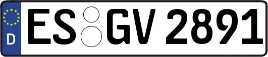 ES-GV2891
