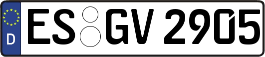 ES-GV2905