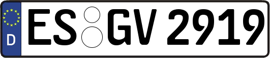 ES-GV2919