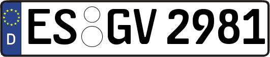 ES-GV2981