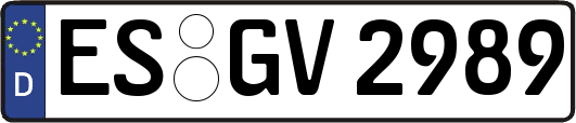 ES-GV2989