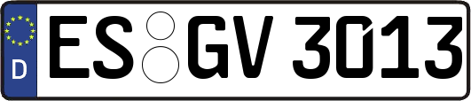ES-GV3013