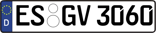 ES-GV3060