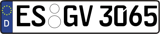ES-GV3065