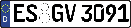 ES-GV3091