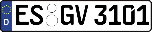 ES-GV3101
