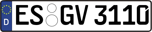 ES-GV3110