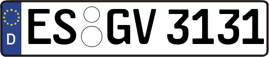 ES-GV3131